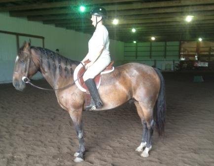 horse riding lessons Kansas City