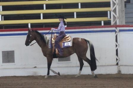 horseback riding lessons Kansas City