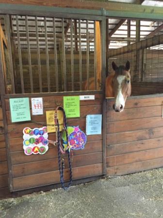 horse riding lessons kansas city